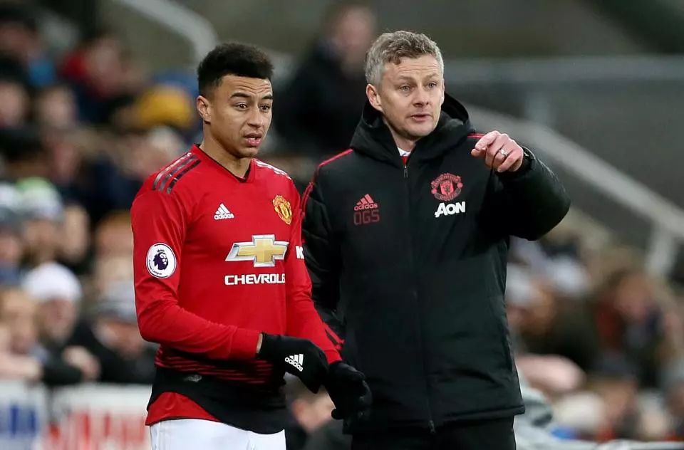 扑却仍然望 扑却仍然望